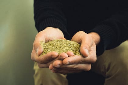 Tomar como materia prima un descarte es la base de la dinámica circular que trazaron