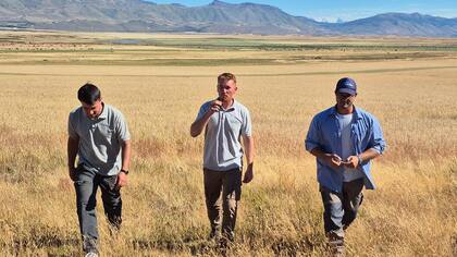Tomás Ciurlanti, Nicolás Zuber y Ricardo Coggiola los fundadores de AgroCalafate que buscan entrar en la historia del campo de Santa Cruz