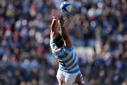 Tomás Lavanini llega para reforzar las formaciones fijas de los Pumas