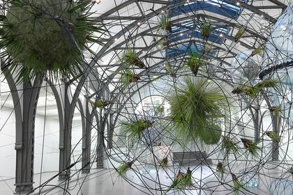 Saraceno propone un un cambio de modelo de referencia: desde el hombre como el centro del mundo al hombre como parte de un universo en el cual debe buscarse una nueva armonía
