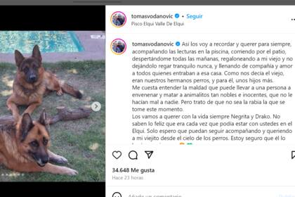Tomás Vodanovic denunció este domingo la muerte de sus perros por envenenamiento