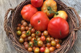 Cómo aprovechar el mejor momento de los tomates