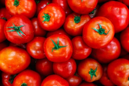 Tomates