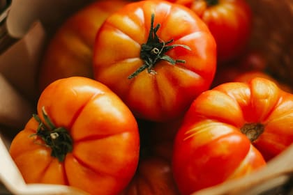 tomates