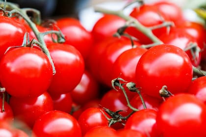 Tomates