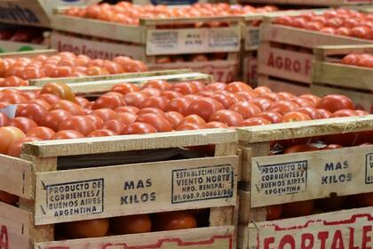 tomates