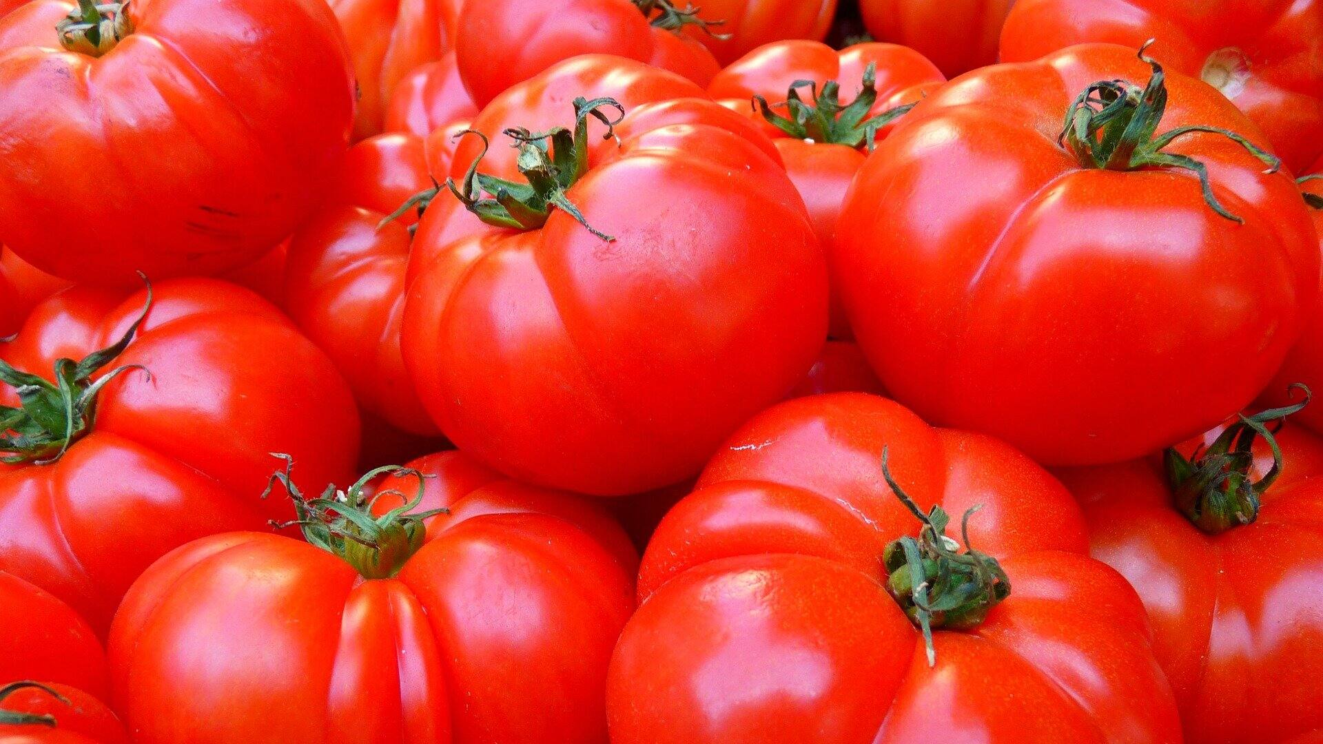 Tomates