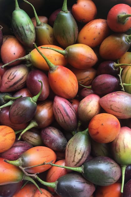 Calafate, un fruto de la Patagonia que se consume fresco o como base para elaborar mermeladas, entre otros productos.