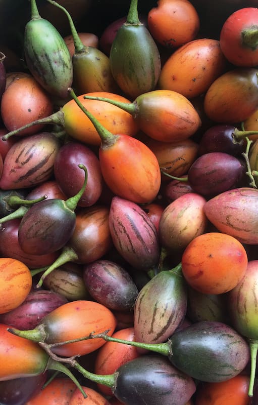Tomate de árbol o chilto, fruto nativo de la Argentina, comestible. Posee un sabor agridulce, único y refrescante.