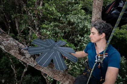 Topher White, miembro del equipo Rainforest Connection (RFCx), junto a un dispositivo Guardian, equipado con un sensor de audio, un viejo smartphone y un panel de energía solar