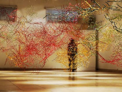 Topografía del caos, Guillermo Anselmo Vezzosi (Entre Ríos, 37 años)