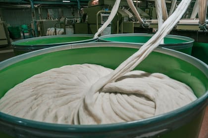 Tops en proceso en la planta procesadora de lana de Fuhrmann en Trelew, Chubut