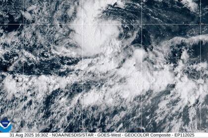 Tormenta tropical Kiko se forma en el Pacífico oriental; sin amenaza inmediata para tierra