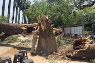 Tormentas de polvo y rayos causan al menos 96 muertos en el norte de India