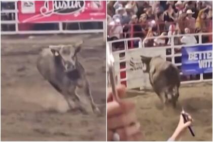 Toro salta la valla y deja al menos tres heridos durante un evento de rodeo en Oregón