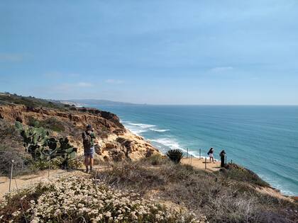 Torrey Pines, reserva natural y balcón al mar.