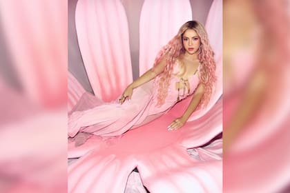 Totalmente pink, así se mostró shakira (Foto Instagram @shakira)