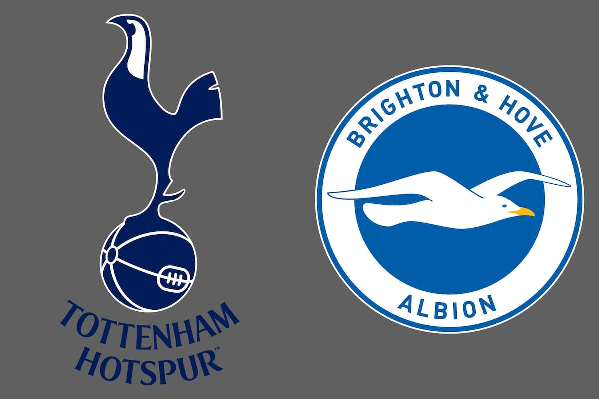 Tottenham Hotspur vs. Brighton and Hove Albion, por una nueva jornada del fútbol inglés