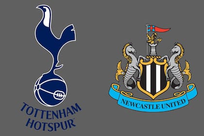 Tottenham Hotspur y Newcastle United disputaron uno de los encuentros de la jornada del fútbol inglés