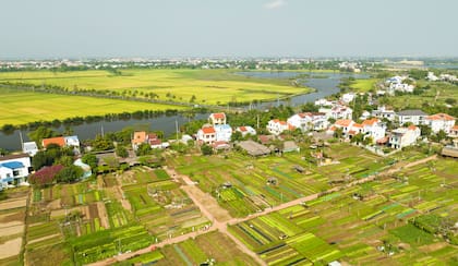 Trà Quế Vegetable Village, Vietnam
Gentileza BTV