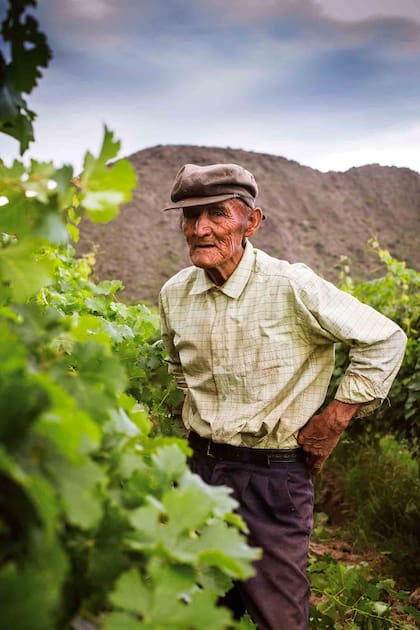 Trabajador de los viñedos de Cafayate.