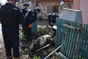 Trabajadores de emergencias inspeccionan una bomba FAB-500 en Preobrazhenka, Ucrania, el mes pasado