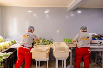 Trabajadores de Mickey envasando una hierba medicinal que suele consumirse con yerba mate, en la fábrica de la empresa en Asunción