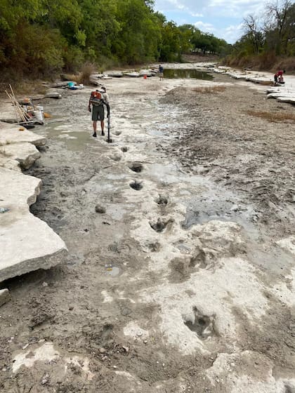 Trabajadores del parque en Texas y voluntarios ayudaron a descubrir las huellas de dinosaurios tras la sequía del río Paluxy