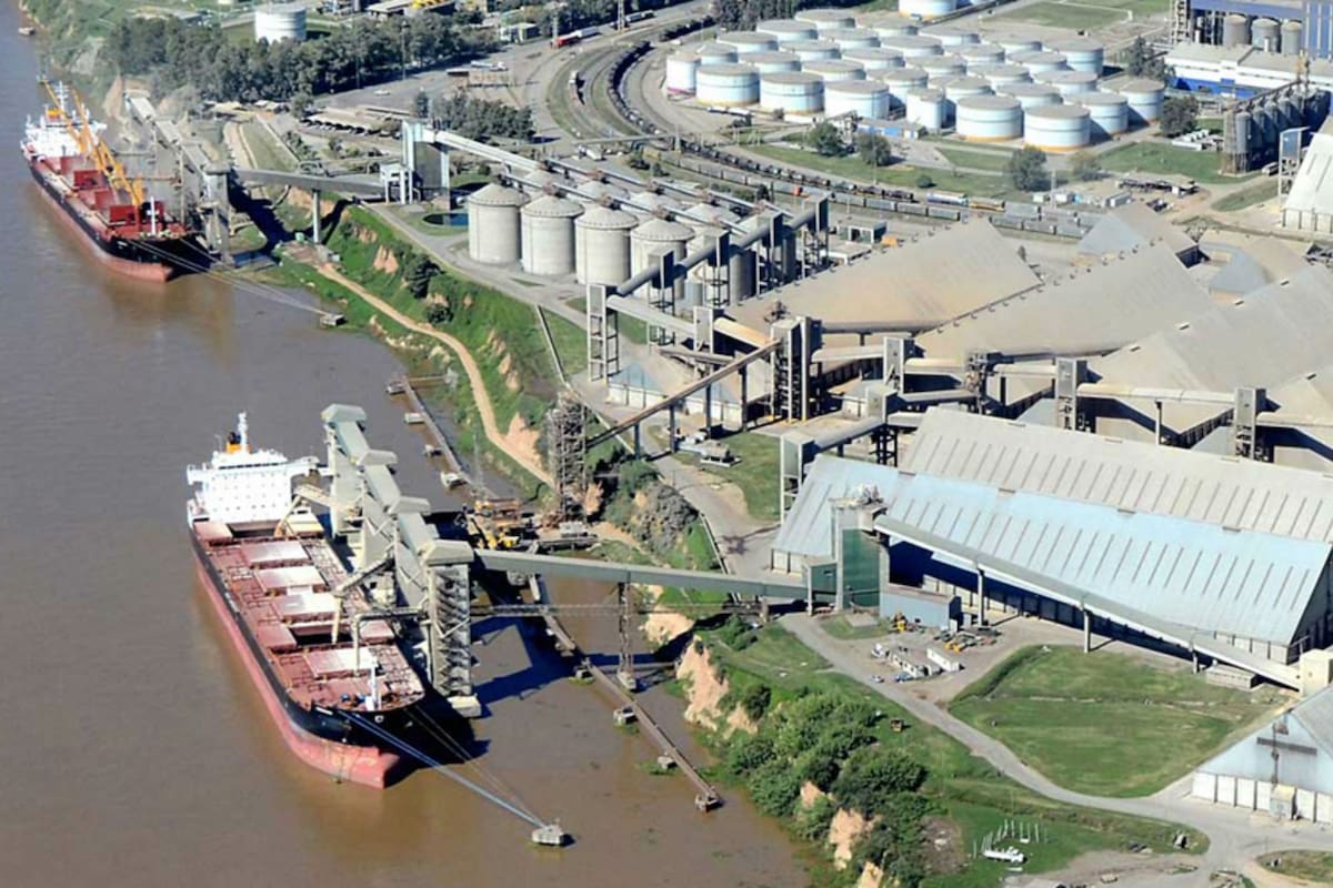 Trabajadores del puerto irían a paro si no se les proveen materiales para prevenir el contagio del coronavirus