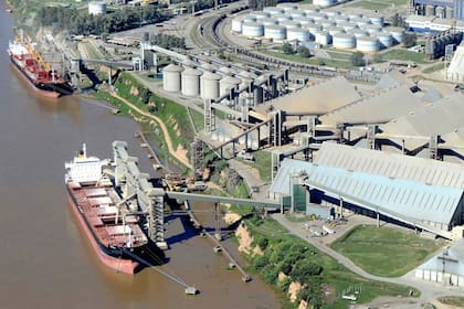 Trabajadores del puerto irían a paro si no se les proveen materiales para prevenir el contagio del coronavirus