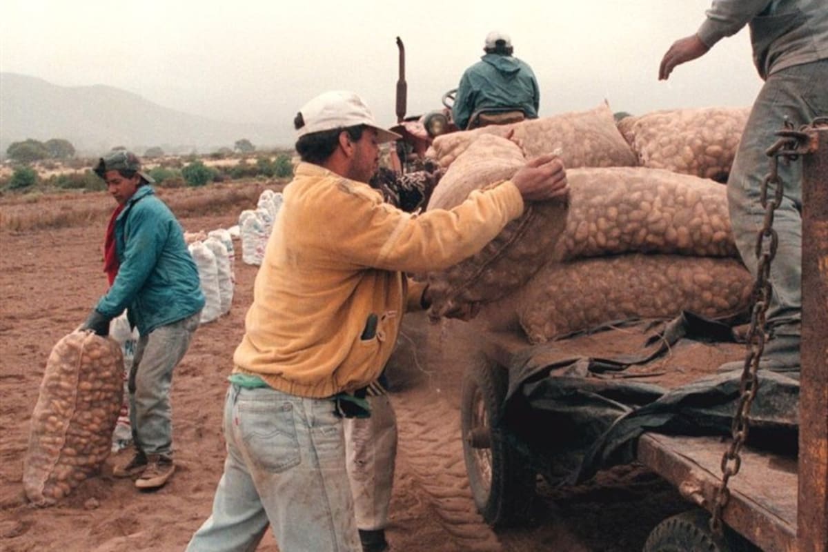 Trabajadores en el Norte, los más afectados por la informalidad