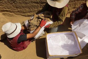 Trabajadores envuelven los restos óseos y partes del fardo funerario de una momia encontrada por arqueólogos peruanos en las ruinas de Cajarmarquilla, en las afueras de Lima, Perú
