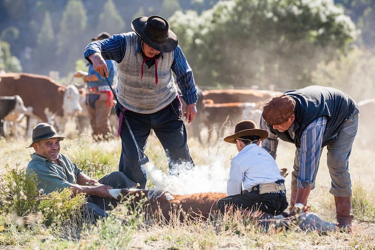 Trabajadores rurales en el campo de Santa Cruz