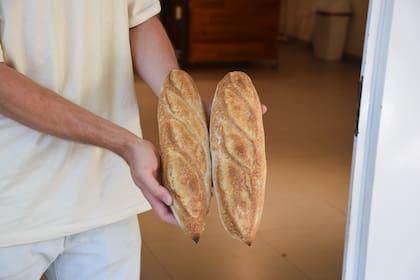 Trabajan con dos tipos de masa madre, una exclusiva para los panes de centeno y otra mezcla de harinas blancas e integrales que se utiliza para el resto de los panes y la bollería