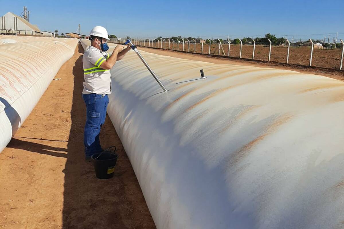 Trabajan con productores de la Argentina y Brasil