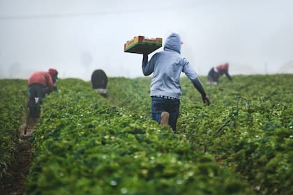 Trabajar en Estados Unidos legalmente es posible