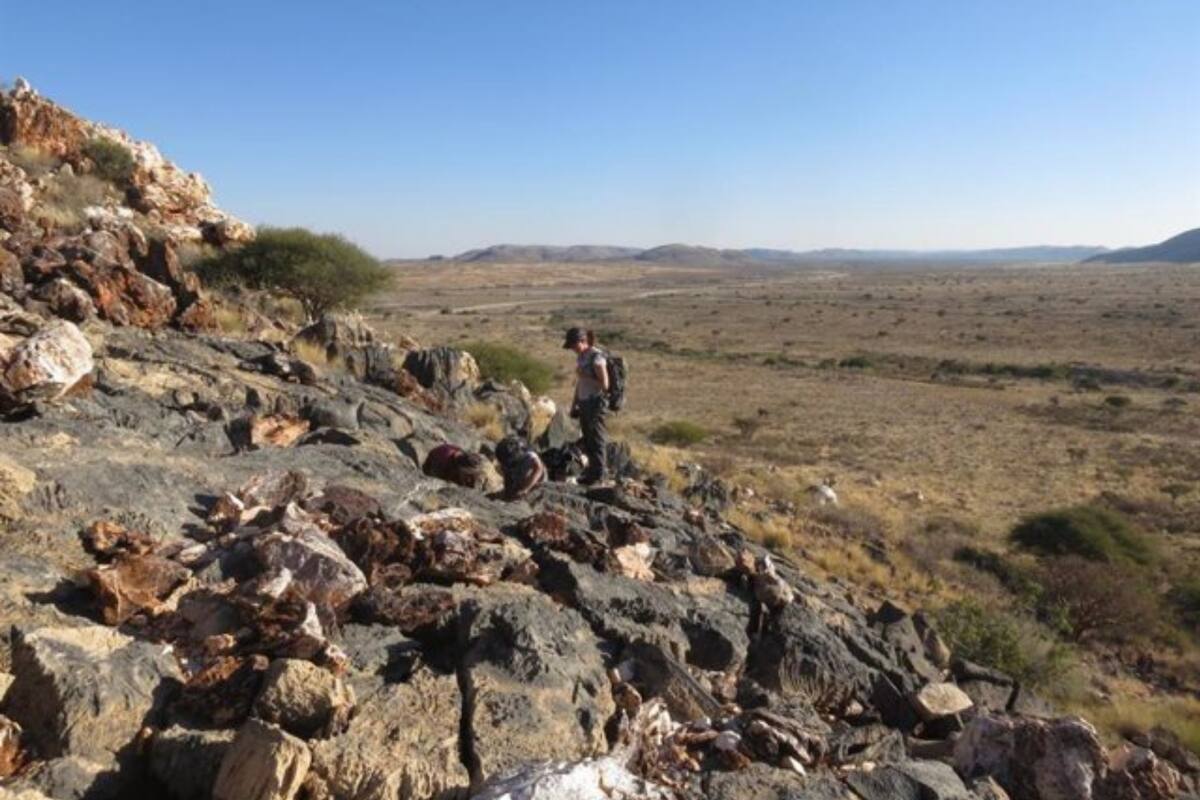 Trabajo de campo para localizar los fósiles del estudio