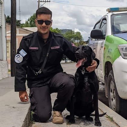 Trabajo en equipo
