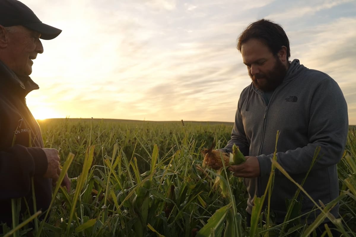 Trabajo en común en el campo
