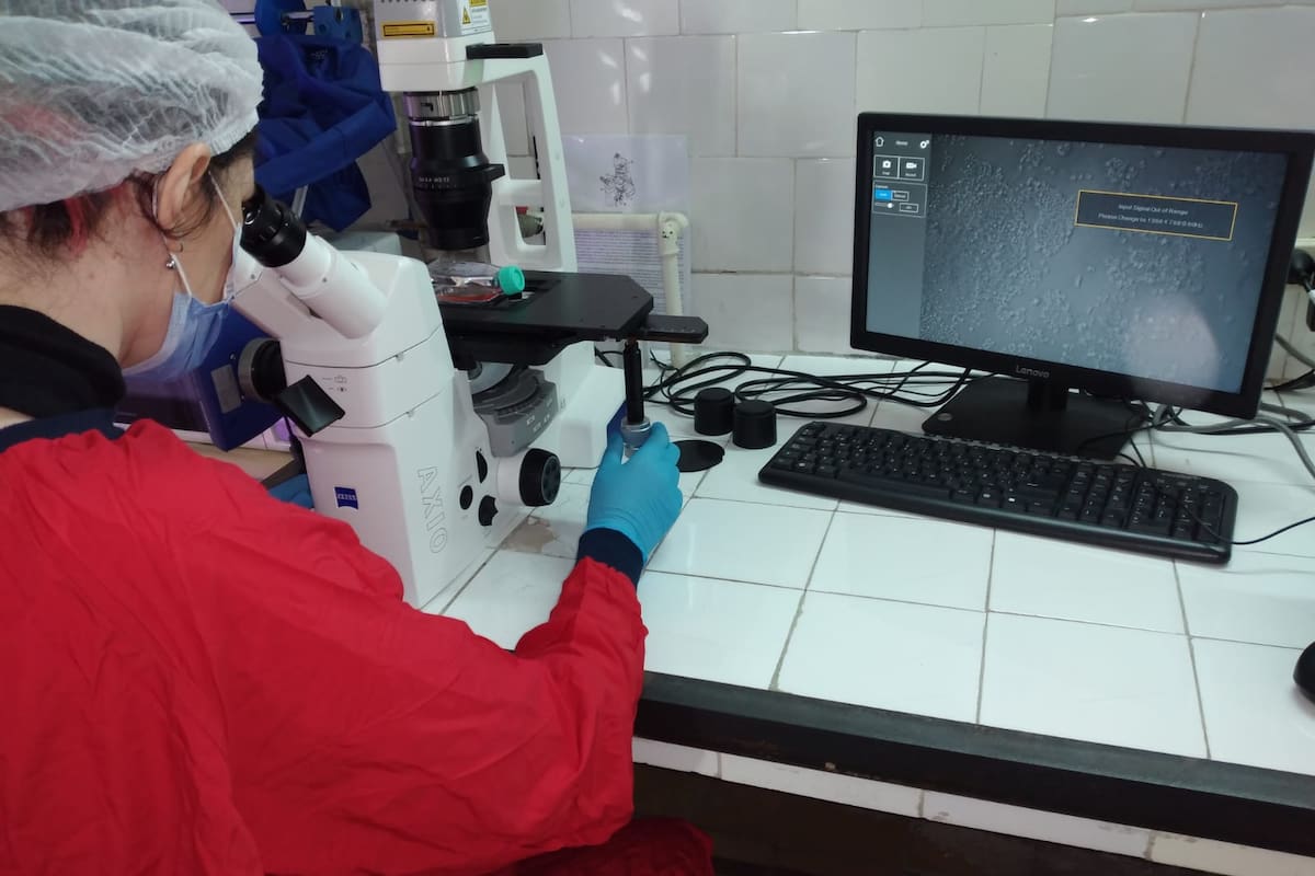 Trabajo en el laboratorio del Área de Investigación del Roffo