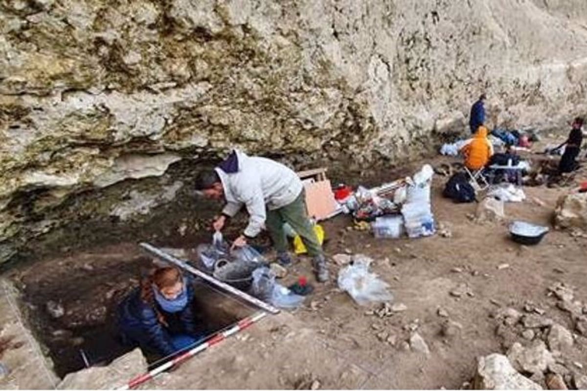 Trabajos arqueológicos en el abrigo de Peña Capón (Muriel, Guadalajara) durante la campaña de 2019
