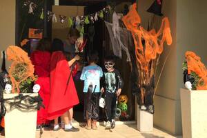 Tradición "importada" del hemisferio norte, Halloween es una gran excusa para sumergirse en historias de terror