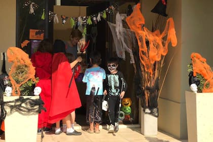 Tradición "importada" del hemisferio norte, Halloween es una gran excusa para sumergirse en historias de terror