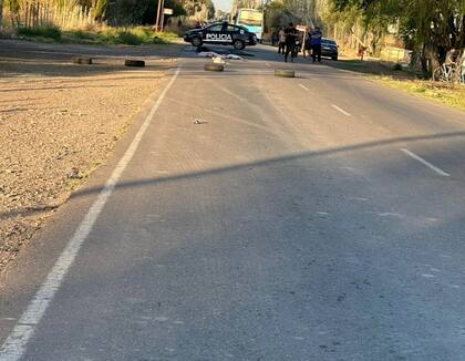 Tragedia en Mendoza: dos hermanas de 7 y 10 años murieron atropelladas tras descender de un colectivo cuando regresaban de la escuela.