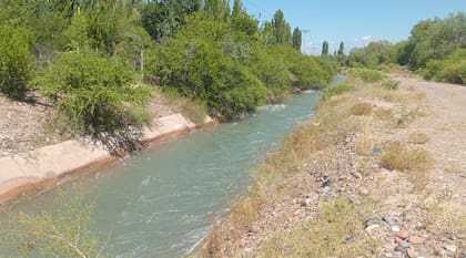 Tragedia en Mendoza: una niña de un año murió ahogada tras caer a un zanjón de riego frente a su casa.