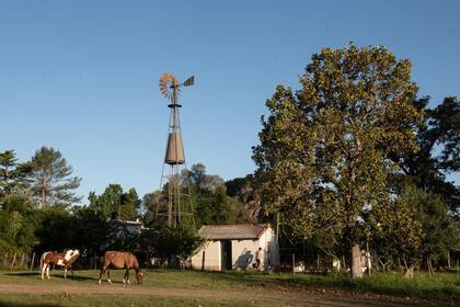 Tragedia fatal en Mar del Plata: subió a un molino para hacer arreglos, pero se resbaló y cayó ocho metros