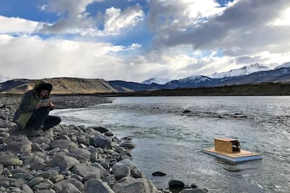 Trampas para visones