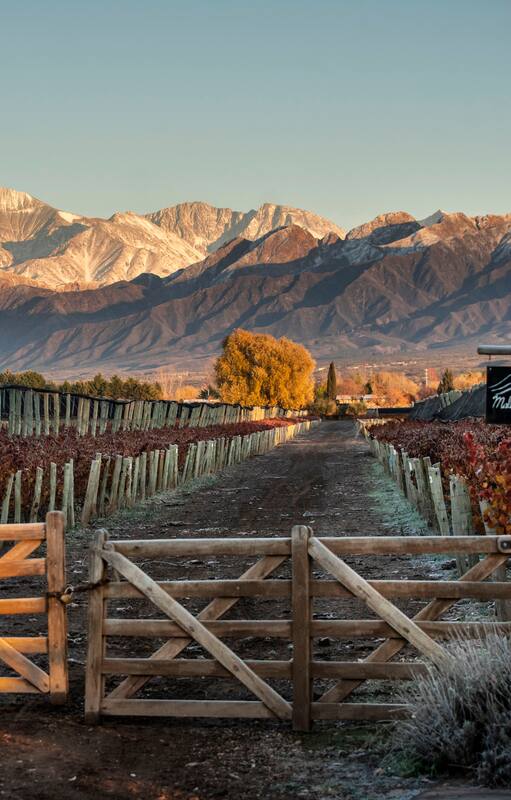 Tranquera de ingreso a la finca de Cheval des Andes en Las Compuertas