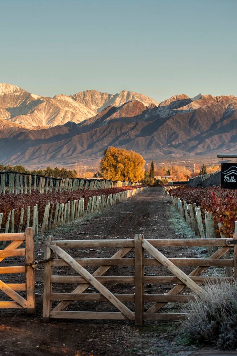 Tranquera de ingreso a la finca de Cheval des Andes en Las Compuertas