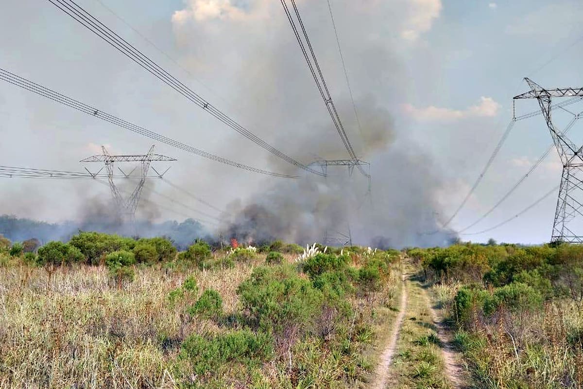Transener presentó un programa de obras a realizar, pero no las ejecuta.